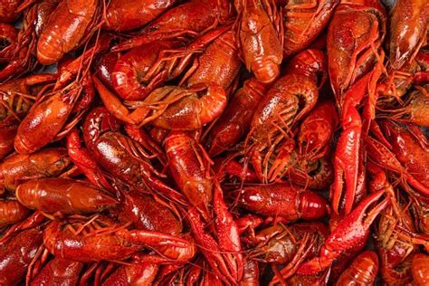 The crawfish you’ve been eating in Colorado could be illegal